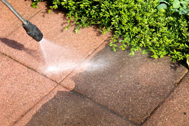 Best Pressure Washing Driveway  in American Fork, UT
